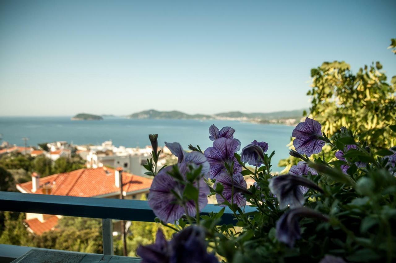 Paradise View Apartment Палеон-Цифликион Экстерьер фото
